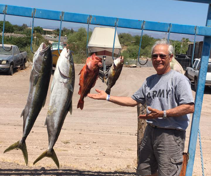 Four fish caught in Loreto Mexico