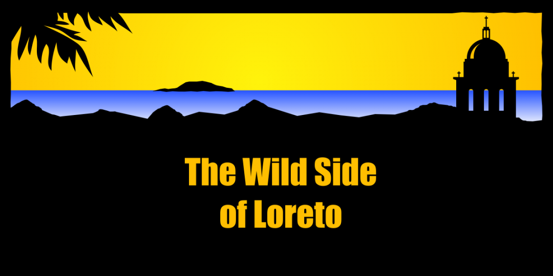 Wild Side of Loreto Mexico