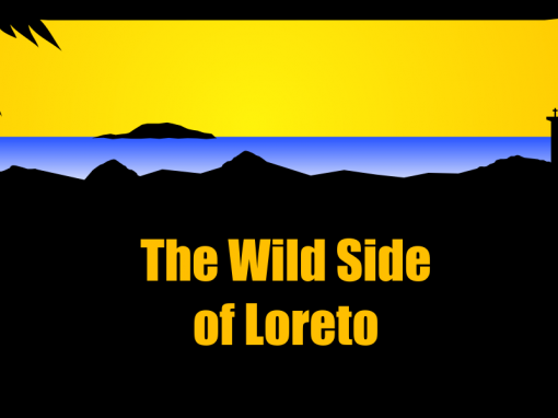 The Wild Side of Loreto