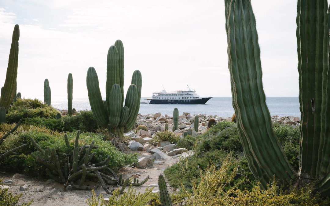 Baja’s Bounty Cruise Visits Loreto