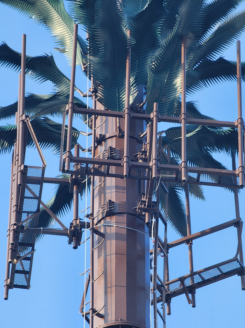 Loreto Bay Cell Tower Close Up