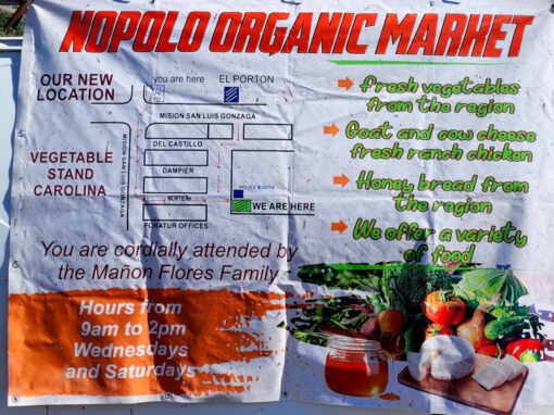 Nopolo Organic Farmer’s Market