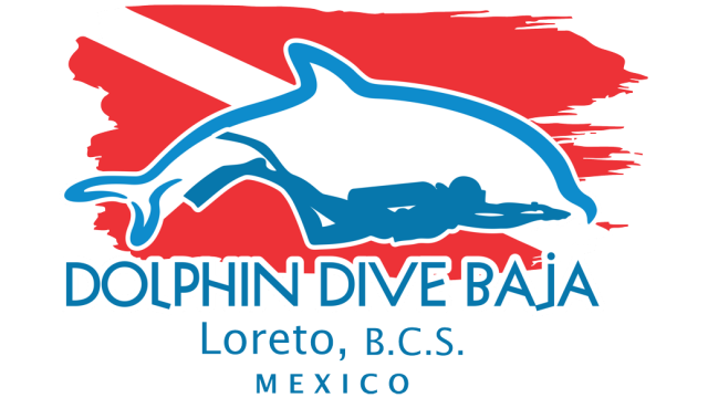 Dolphin Dive Baja